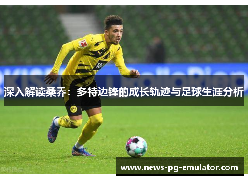 深入解读桑乔：多特边锋的成长轨迹与足球生涯分析