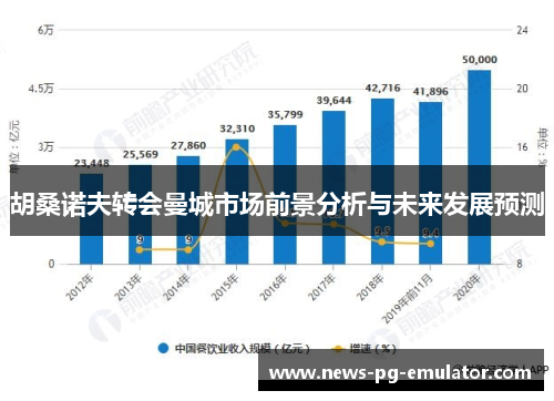 胡桑诺夫转会曼城市场前景分析与未来发展预测