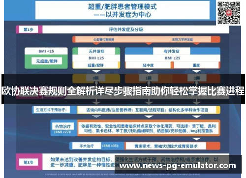 欧协联决赛规则全解析详尽步骤指南助你轻松掌握比赛进程