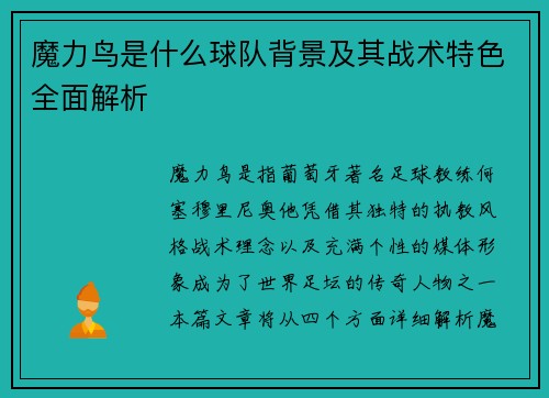 魔力鸟是什么球队背景及其战术特色全面解析